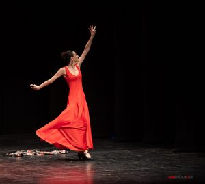 foto flamenco